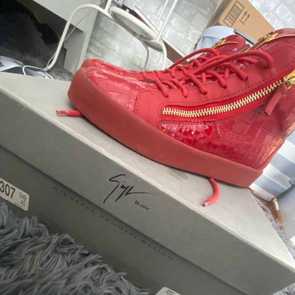 Giuseppe Zanotti